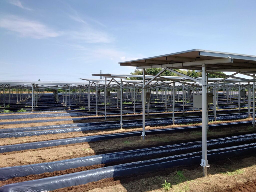 千葉県富里市にあるソーラーシェアリングの様子。ソーラーシェアリングの利点は、耕作放棄地を解消できるところだ。農家の方は、農業と太陽光発電の両方で 収入を得ることができるようになり、就農者の増加が期待されている。