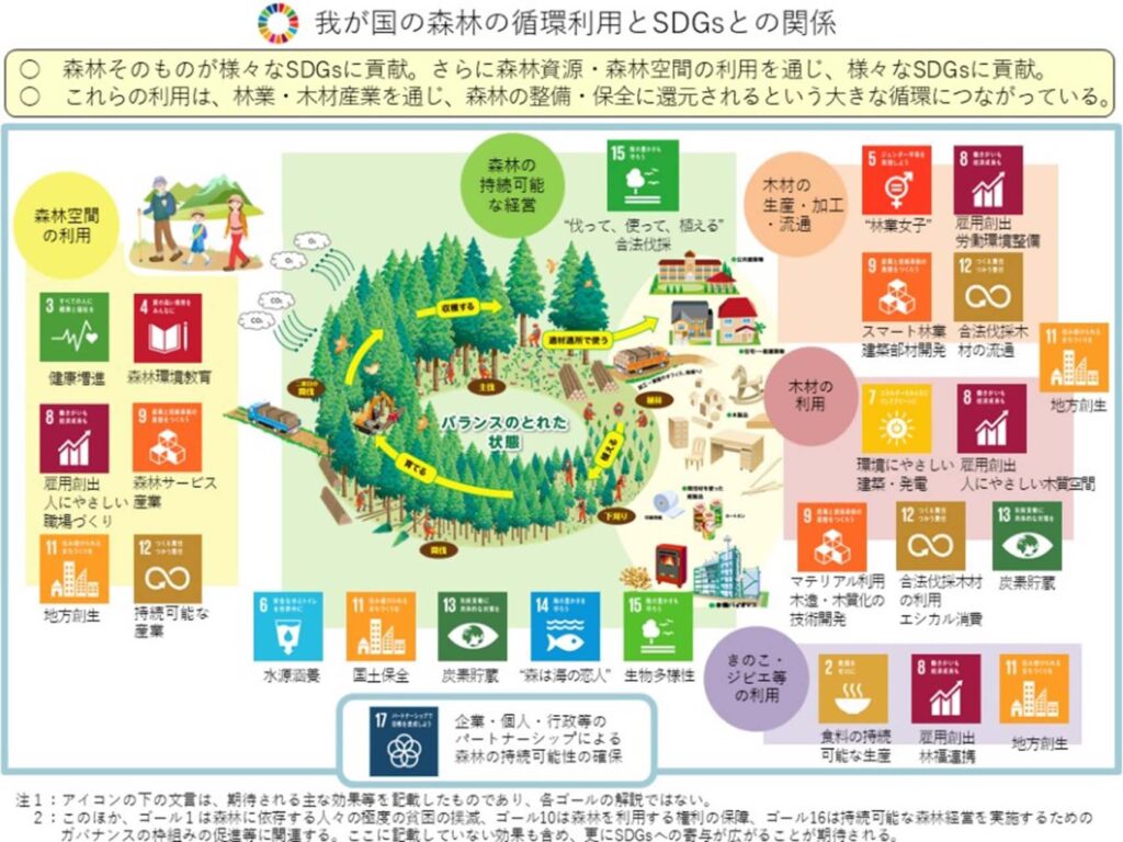 林野庁（森林循環利用×SDGsの取り組み）