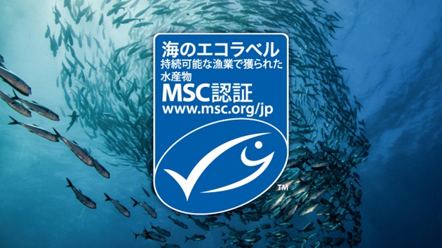 MSC認証マーク（海のエコラベル）