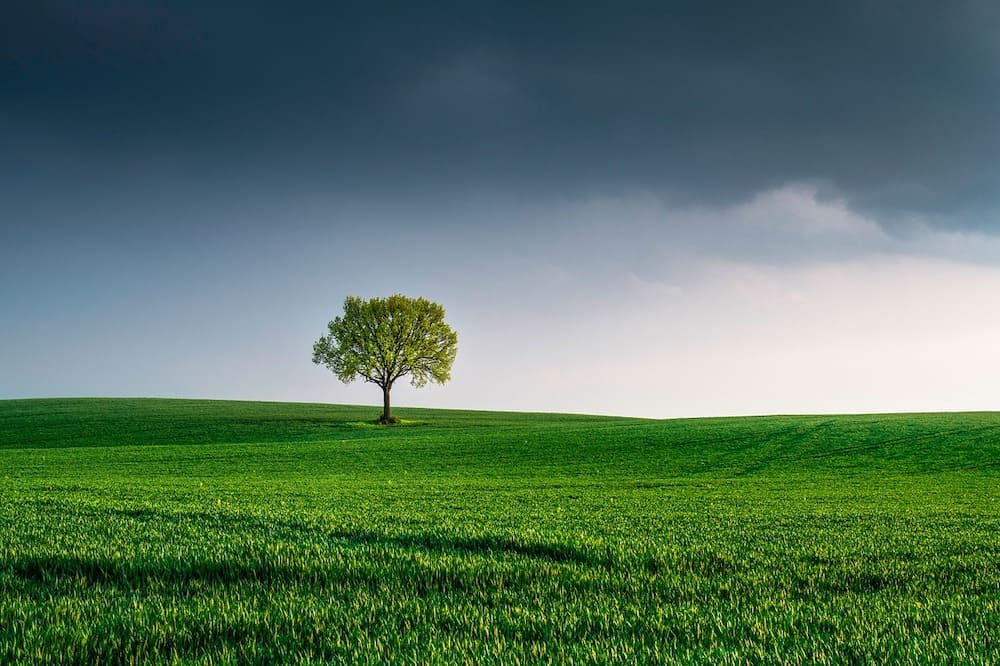 自然　風景　フリー画像