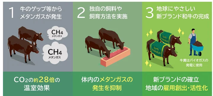 「脱炭素牛」の開発