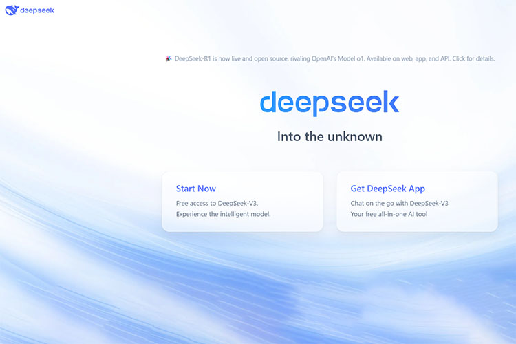 DeepSeek