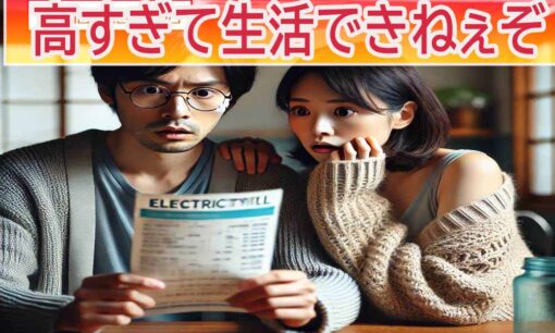 電気代高騰が家計を直撃「家賃レベル」と嘆く声、政府補助の縮小でさらなる負担増も懸念