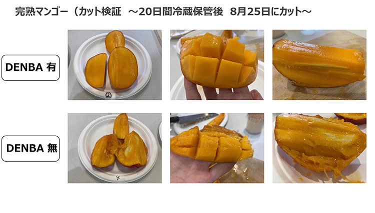 DEMBAを活用した実験