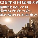 【2025年6月猛暑の原因】東大・京大が「温暖化なしでは起きなかった」と結論