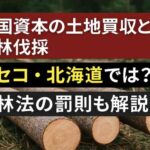 ニセコに広がる外国資本の森林買収と無届け伐採　見えない土地の主と緩い制度の現実