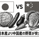 中国産野菜の方が本当に安全なのか？　参政党・神谷宗幣氏演説の真意とは