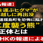 人食い熊が4年越しに再出没　北海道福島町を恐怖に陥れた“二度襲う熊”の正体とは