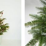 返却できる“本物のクリスマスツリー”が急拡大　愛グループ「FUREAI」が提供する国産もみの木レンタル＆販売の新潮流