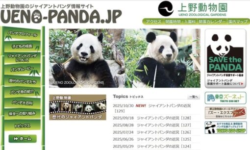 中国がパンダ貸し出し停止示唆　街の声はまさかの『影響ゼロ』…上野の衝撃現場ルポ