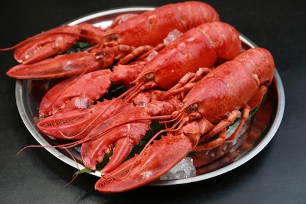 英政府、ロブスター“生き茹で”禁止へ　「容認できない殺処分」とは何か