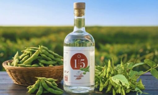 規格外農産物が【高収益クラフトジン】に昇華 「幻の茶豆」で実現する【生産者所得向上】と【サステナブル農業戦略】