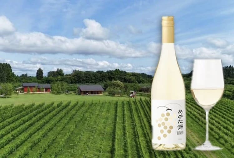 耕作放棄地再生で生まれたシャルドネを限定販売　秋田キャッスルホテルが“北秋田初ワイナリー”のワイン提供開始