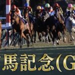 有馬記念 入場券は転売横行で15倍超　中山競馬場に異常熱、豪華出走馬と長澤まさみ登壇で争奪戦激化