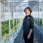 2024年問題を突破する「貨客混載」　いちごが描く宮崎・福岡の食物流革新