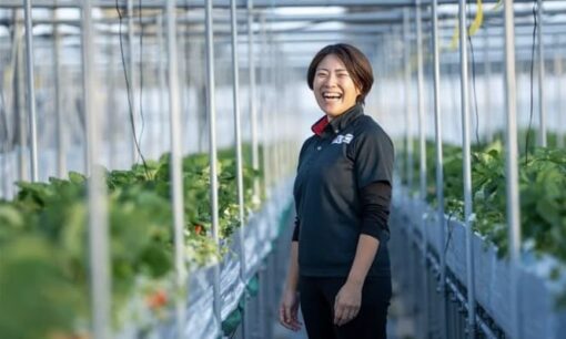 2024年問題を突破する「貨客混載」　いちごが描く宮崎・福岡の食物流革新