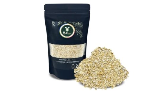 盆栽輸出の「検疫の壁」を突破　物語運輸が挑む、日本文化を100億ドルの世界産業へ変える「Beyond Bonsai」