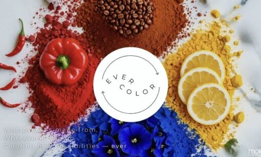 創業350年の繊維商社が挑む「色の再定義」。モリリン株式会社が「EVER COLOR」で加速させる異業種共創の循環経済