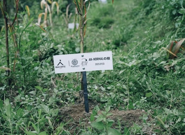 株式会社ANのネパール植樹が示す「雇用創出」とサステナブル経営の本質