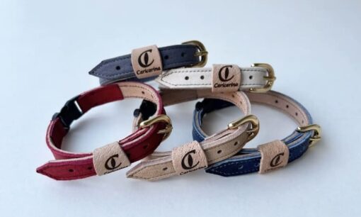 野生獣の命を猫の輝きに　カリカリーナ「逆転の地域再生」