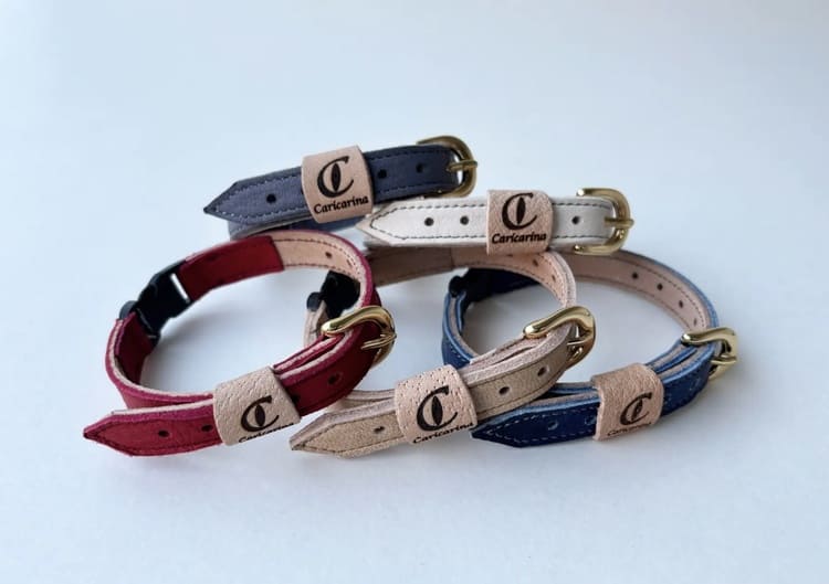 野生獣の命を猫の輝きに　カリカリーナ「逆転の地域再生」