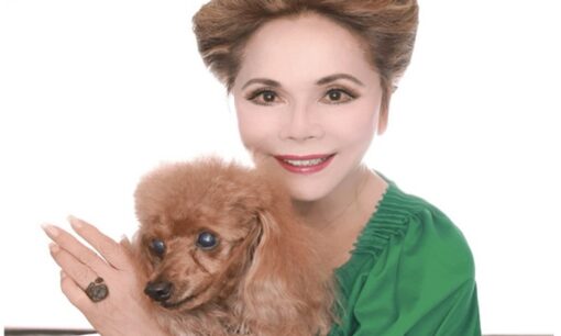 デヴィ夫人がマネージャー暴行で書類送検　愛犬トラブルの裏で露呈した人物像と芸能界の曖昧な線引き