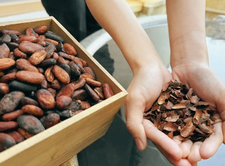 箱根の温泉が「若返り」の拠点に　廃棄カカオを資源化するユネッサンの循環経営