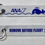 石垣島のゴミが「空飛ぶお宝」に？ANAとオーシャンクラスが挑む「海洋プラ」逆転のビジネスモデル