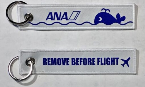 石垣島のゴミが「空飛ぶお宝」に？ANAとオーシャンクラスが挑む「海洋プラ」逆転のビジネスモデル