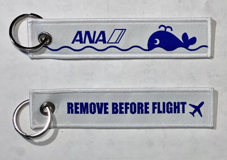 石垣島のゴミが「空飛ぶお宝」に？ANAとオーシャンクラスが挑む「海洋プラ」逆転のビジネスモデル