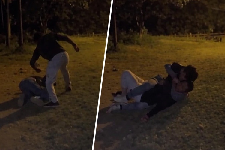 沖縄県内の新都心公園