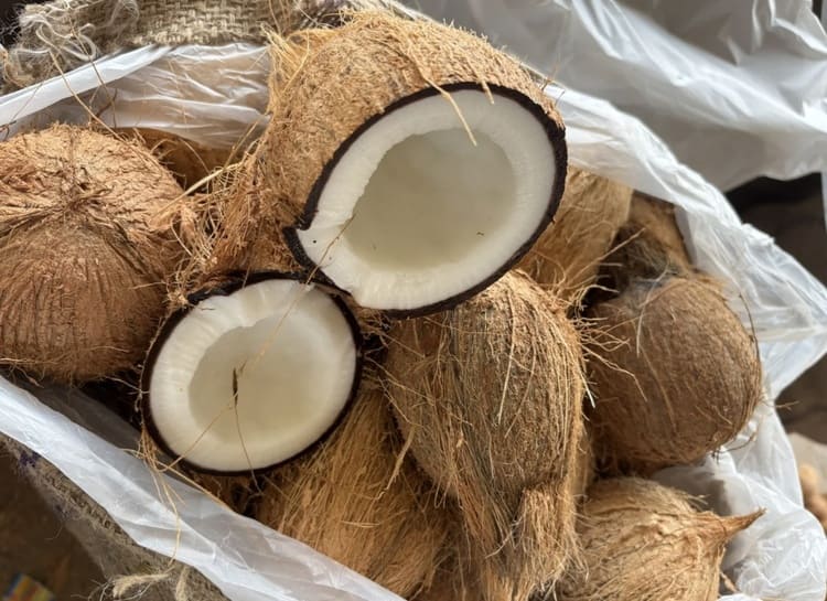 廃棄ココナッツを「防炎」建材へ　鹿田産業が示すサステナビリティの実装力