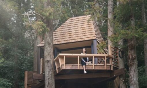 千葉・和心村のサステナブルな挑戦　2026年「里山共生」が描く観光の未来