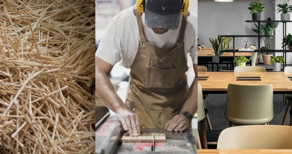 割り箸200億膳の再生 ChopValue Japanが描く「都市の森」計画