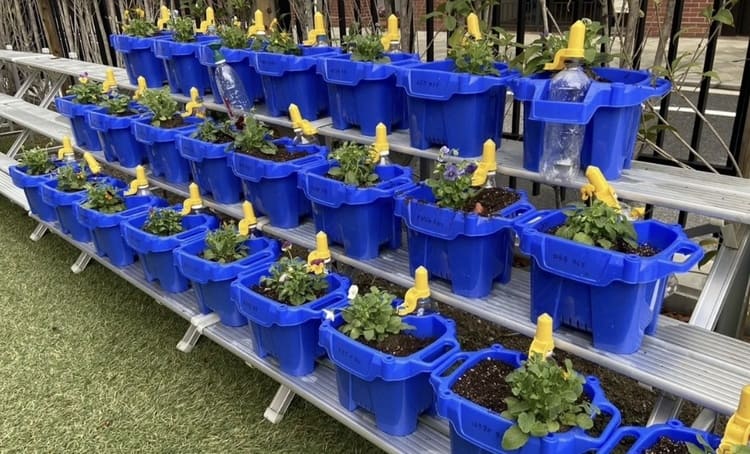 朝顔の鉢を熊野筆へ　PHI社が描く資源循環の「勝色」