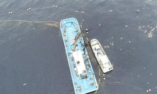 100億円の厄介者が「美酒」に化ける？dixusの逆転劇