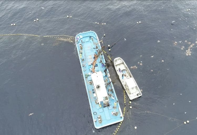 100億円の厄介者が「美酒」に化ける？dixusの逆転劇