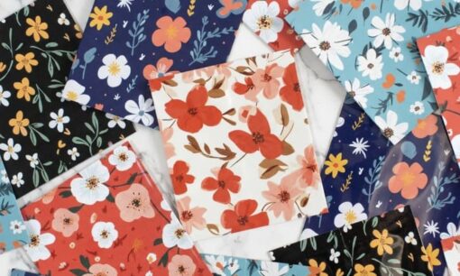 産廃を「宝」に変えるイクスラボの包装革命