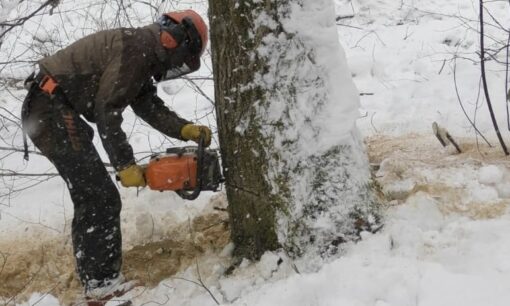 創業193年　松葉屋家具店が挑む「命の追跡」