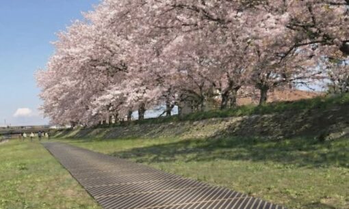 山陽製紙が挑む「お花見」の再定義