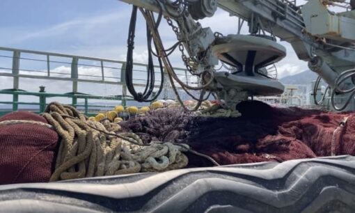 サンシャイン水族館が挑む「着る環境保護」漁網リサイクルの衝撃