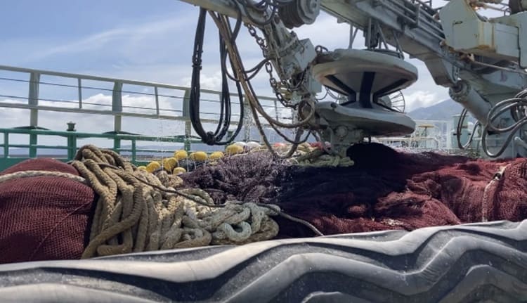 サンシャイン水族館が挑む「着る環境保護」漁網リサイクルの衝撃