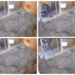 北海道日高町・浜本牧場仔馬「躾」動画が大波紋 虐待疑いでネット非難殺到 他の牧場も批判 競馬業界に衝撃