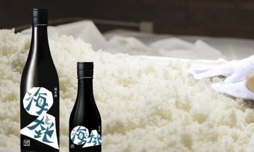 魚肥が醸す小田原の雫　鈴廣かまぼこが挑む資源循環の新酒