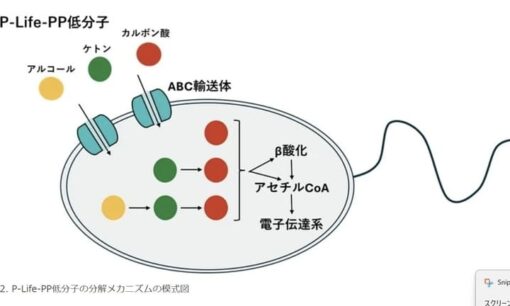 プラスチックを「食う」微生物の正体！ピーライフが挑む衝撃のゲノム解析