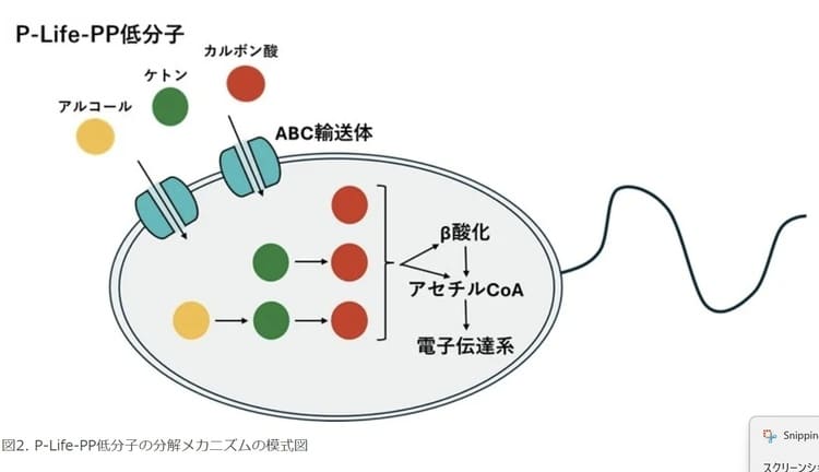 プラスチックを「食う」微生物の正体！ピーライフが挑む衝撃のゲノム解析