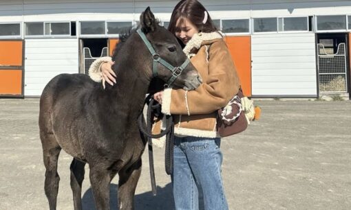 浜本牧場 仔馬虐待動画炎上　タレント紗栄子氏が保護、動物愛護団体が刑事告発　JRAも育成指針で言及