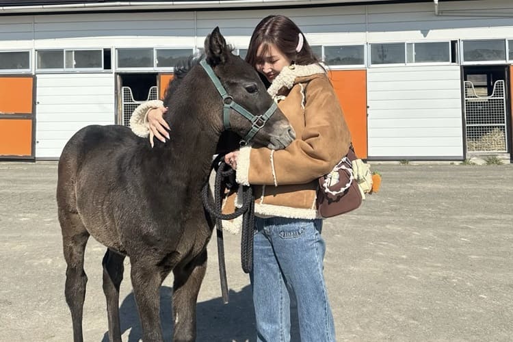 タレント紗栄子