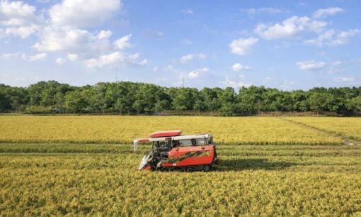 年間200万トンの廃棄籾殻を食の宝へ変えるNINESENSE