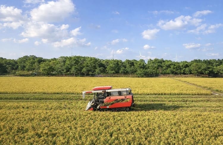 年間200万トンの廃棄籾殻を食の宝へ変えるNINESENSE